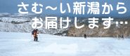 �ۂ��ۂ����������O�b�Y�Ńv���[���g
