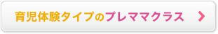 �玙�̌��^�C�v�̃v���}�}�N���X
