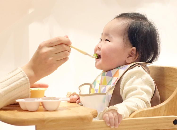 ピジョンインフォメールマガジン 2026.3.24号