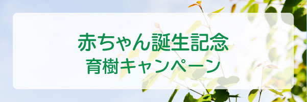 ピジョン赤ちゃん誕生記念育樹キャンペーン