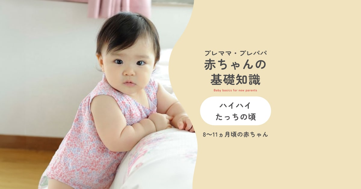 ハイハイ・たっちの頃 - 8～11ヵ月頃の赤ちゃん | 赤ちゃんの