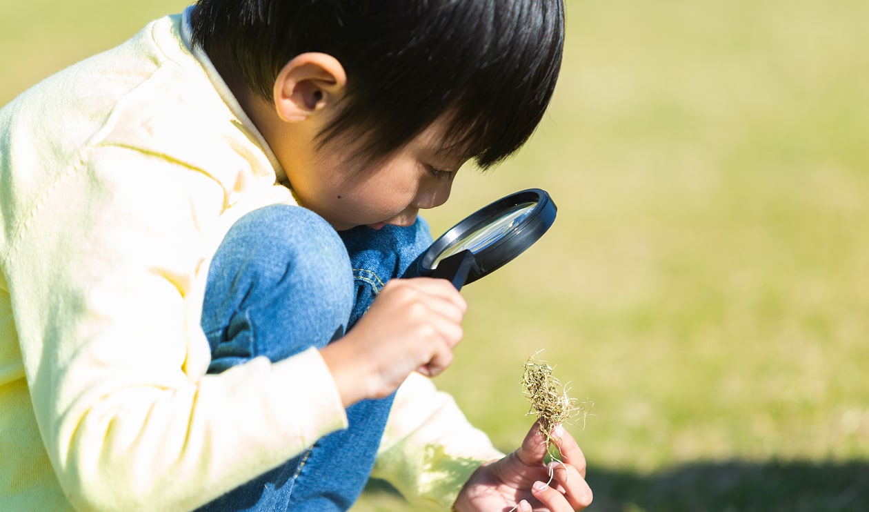 虫眼鏡で観察するお子様