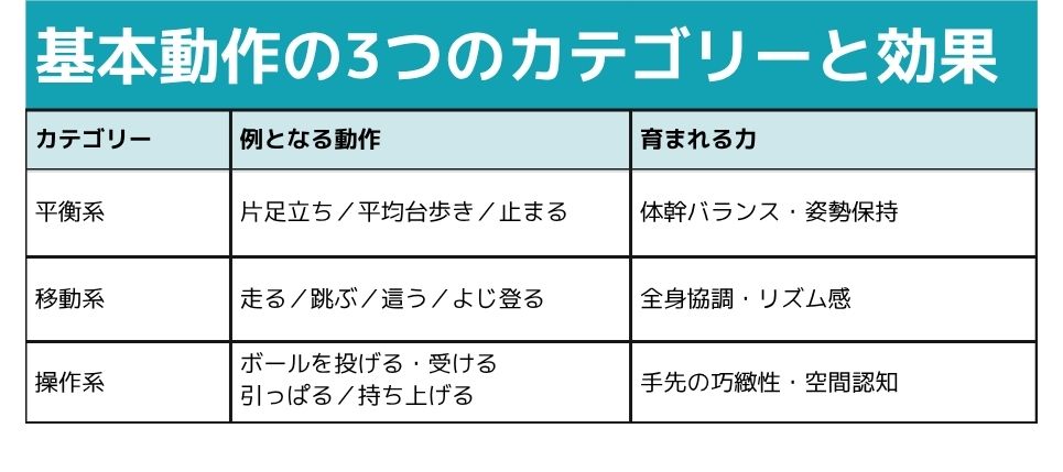 基本動作の3つのカテゴリーと効果 [平衡系]例となる動作:片足立ち・平均台歩き・止まる、育まれる力:体幹バランス・姿勢保持, [移動系]例となる動作:走る・跳ぶ・這う・よじ登る、育まれる力:全身協調・リズム感、[操作系]例となる動作:ボールを投げる・受ける・引っぱる・持ち上げる、育まれる力:手先の巧緻性・空間認知