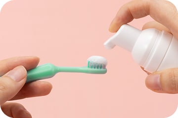 歯ブラシに乗る量の写真
