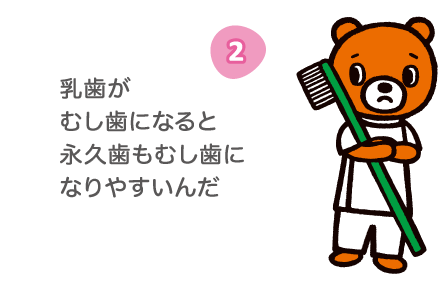 ポイント２：乳歯がむし歯になると永久歯もむし歯になりやすいんだ