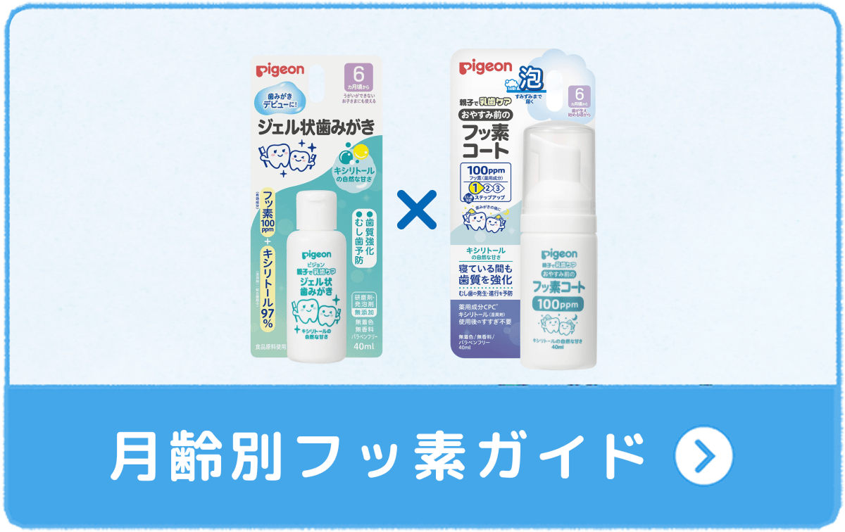 月齢別フッ素ガイド