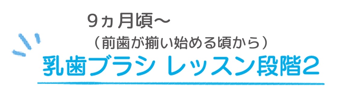 9ヵ月頃〜（前歯が揃い始める頃から） 乳歯ブラシレッスン段階2