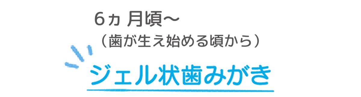 6ヵ月頃〜（歯が生え始める頃から） ジェル状歯みがき