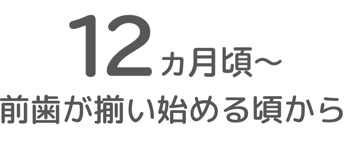 12ヵ月頃〜