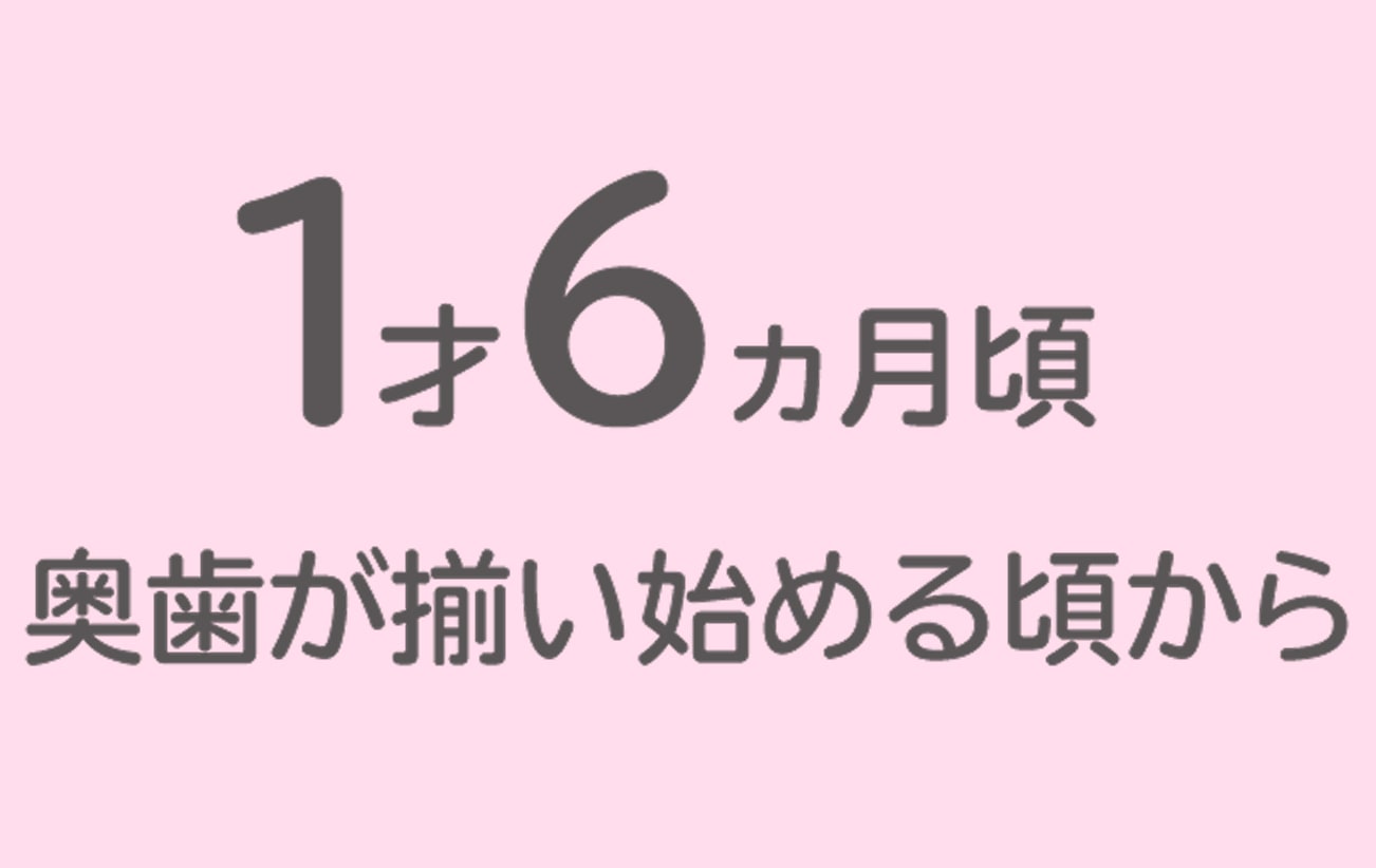 1才6ヵ月頃