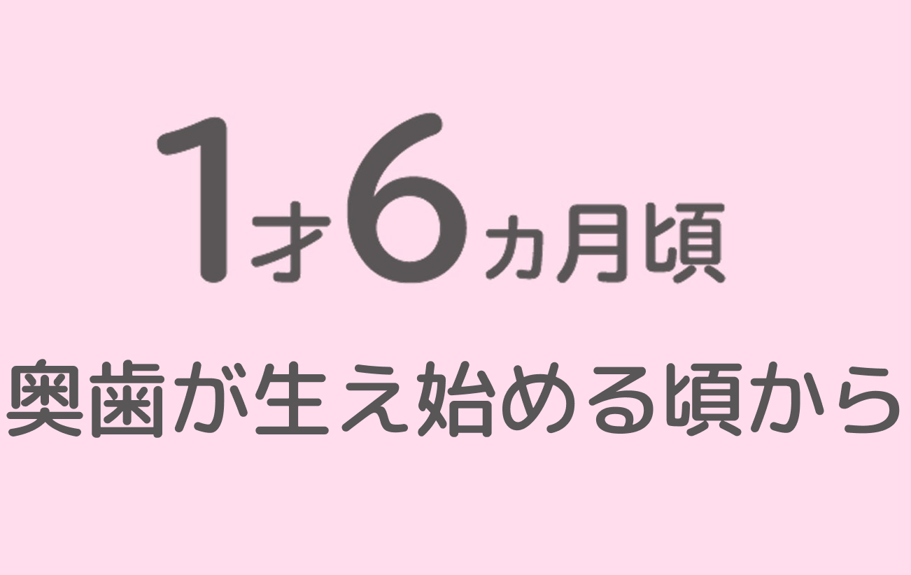 1才6ヵ月頃