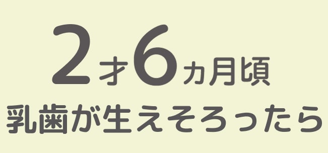 2才6ヵ月頃 乳歯が生えそろったら