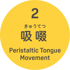 2.吸啜（きゅうてつ） Peristaltic Tongue Movement