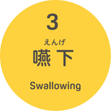 3.嚥下（えんげ） Swallowing