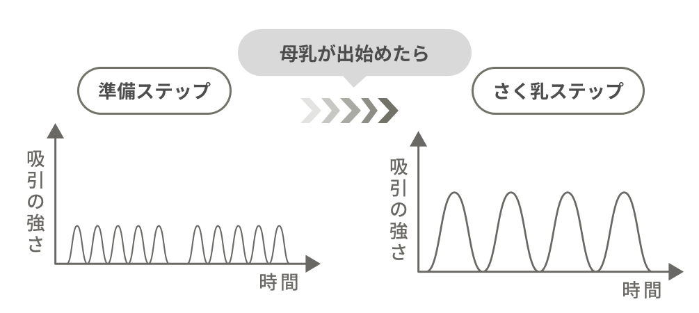 準備ステップ → 母乳が出始めたら → さく乳ステップ