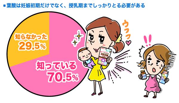 葉酸認知（時期）の円グラフ　知っている：70.5%, 知らなかった：29.5% （n=166）