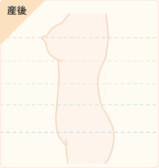 産前の体型図