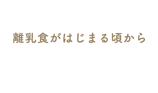 離乳食がはじまる頃から