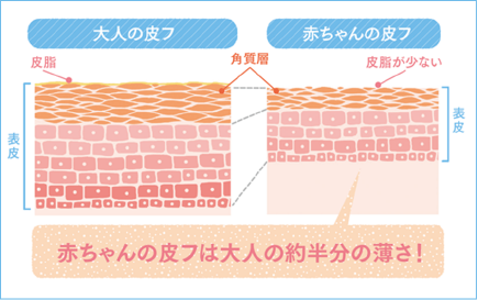 赤ちゃんの皮フは大人の約半分の薄さ!