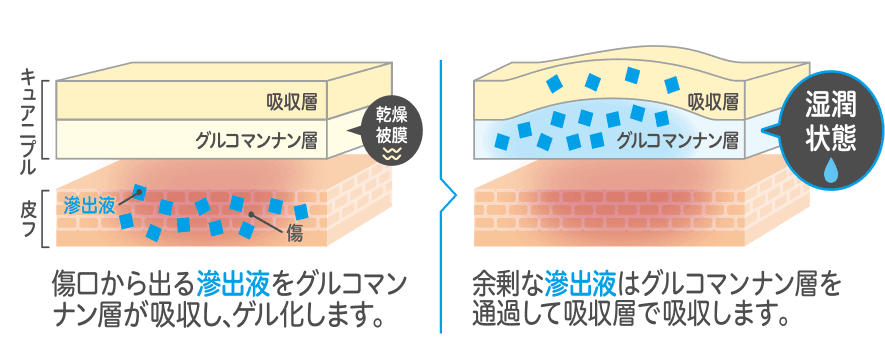 グルコマンナンゲルの働きの図解