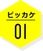 ピッカケ01