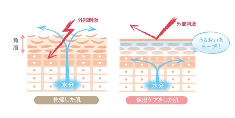 乾燥した肌と保湿ケアした肌の比較