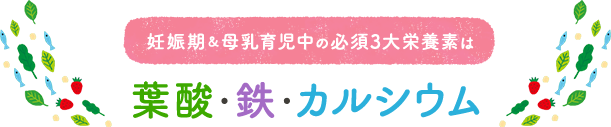 妊娠期＆母乳育児中の必須３大栄養素は 葉酸・鉄・カルシウム
