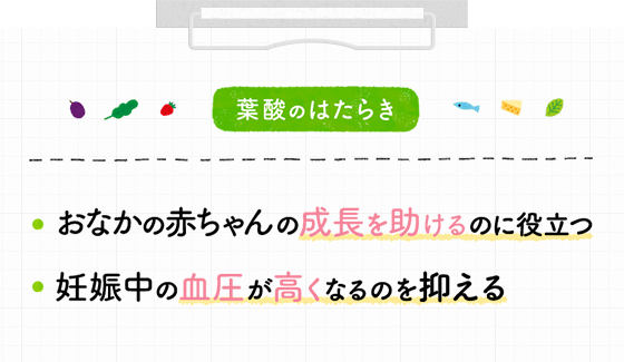葉酸のはたらき　・おなかの赤ちゃんの成長を助けるに役立つ　・妊娠中の血圧が高くなりすぎるのを防ぐ