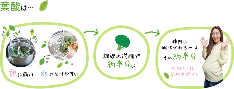 葉酸は…　熱に弱い、水にとけやすい→調理の過程で約半分に→体内に吸収されるのはその約半分　妊娠９ヶ月 谷村真理さん