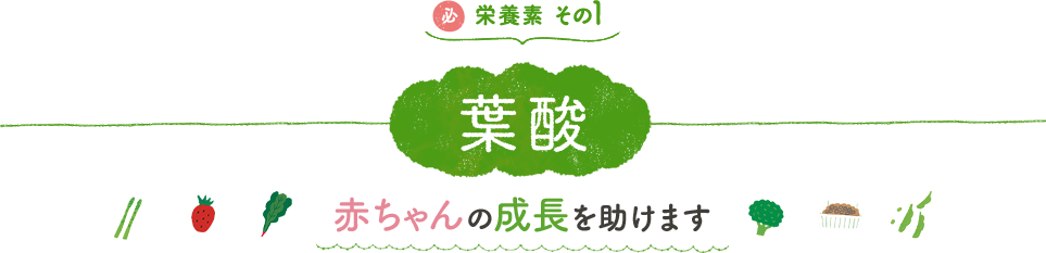 栄養素　その１：葉酸　赤ちゃんの成長を助けます