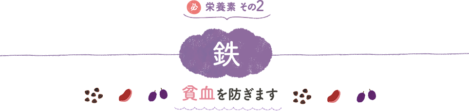 栄養素　その２：鉄　貧血を防ぎます
