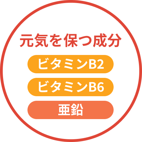 元気を保つ成分 : ビタミンB2, ビタミンB6, 亜鉛